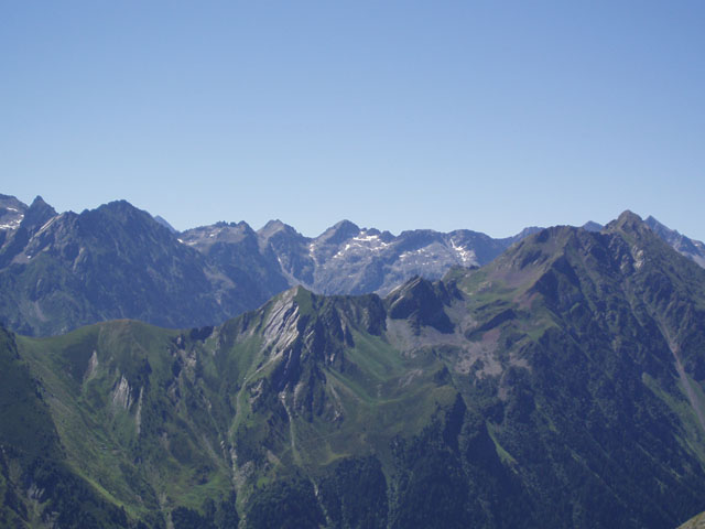 335