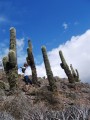bolivia025 * 600 x 800 * (255KB)