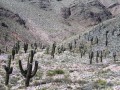 bolivia026 * 800 x 600 * (421KB)