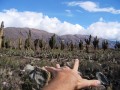 bolivia027 * 800 x 600 * (268KB)