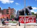 bolivia035 * 800 x 600 * (290KB)