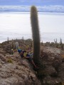 bolivia064 * 600 x 800 * (247KB)