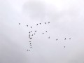 bolivia090 * 800 x 600 * (125KB)
