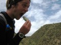 bolivia138 * 800 x 600 * (108KB)