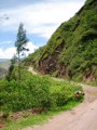 bolivia173 * 600 x 800 * (213KB)