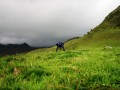 bolivia195 * 800 x 600 * (128KB)