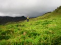 bolivia196 * 800 x 600 * (155KB)