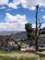 bolivia328 * 600 x 800 * (178KB)