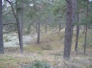 IMG_3831 * 2048 x 1536 * (2.26MB)